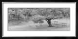 Buy Lakeside Park at AllPosters.com