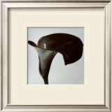 Buy Black Arum II at AllPosters.com