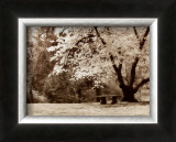 Buy Arboretum Gardens at AllPosters.com