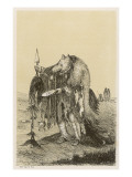 Medicine Man of the Crow or Blackfeet People : He Is Wearing the Skin of a Young Bear