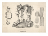 Megatherium Giant Sloth