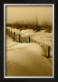 Buy Anastasia Dunes II at AllPosters.com
