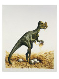 Oviraptor Dinosaur