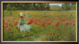 In Flanderns Field