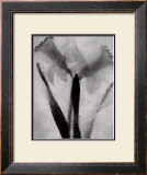 Buy Twins Forever at AllPosters.com