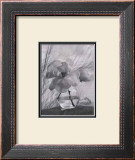 Buy Magnolia at AllPosters.com