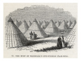 Marshall's Mill