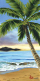 Buy Solitude Shores at AllPosters.com