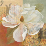 Magnolia Morning II