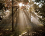Buy A New Day I at AllPosters.com
