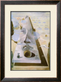 Apparition of the Face of Aphrodite