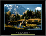 Freedom: Cowboys