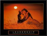 Buy Leadership: Lion at AllPosters.com