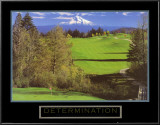 Determination: Golf