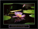 Buy Consistency: Pond Flower at AllPosters.com