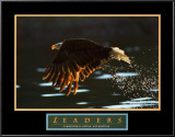 Buy Leaders: Bald Eagle at AllPosters.com