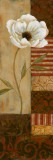 Touch of Spice I