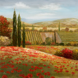 Tuscan Cypress I