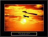 Buy Passion: Hang Glider at AllPosters.com