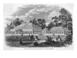 The New Conservatory, or Winter Garden, in the Kew Arboretum'