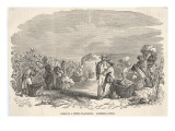 Slaves Gathering Cotton in the Southern States of the U.S