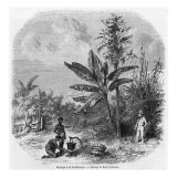 Rural Scene - Some Natives are Cooking Something Tasty in a Pot