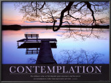 Contemplation Lamina Framed Art Print