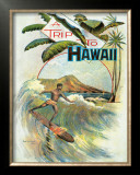 A Trip to Hawaii