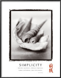 Simplicity: Shells