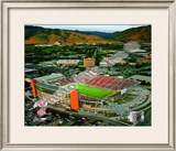 Rice-Eccles Stadium University of Utah Utes 2008