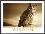 Buy Wisdom at AllPosters.com