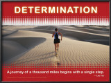 Determination