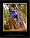 Buy Persistence:  Dirt Bike at AllPosters.com