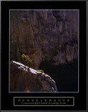 Perseverance: Lone Pinyon Tree