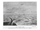 The Central Lake, with Plesiosaurs, Pterodactyls and Much Else Beside