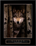 Buy Wisdom: Gray Wolf at AllPosters.com