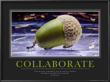 Collaborate