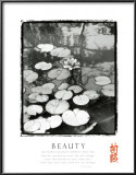 Buy Beauty: Lilypads at AllPosters.com