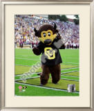 University of Colorado Buffaloes Mascot 2004