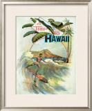 A Trip to Hawaii