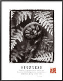 Buy Kindness: Fiddlehead at AllPosters.com