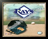 2008 Tampa Bay Rays Team Logo Framed Photographic Print