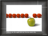 Buy Apple / Newton at AllPosters.com
