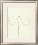 Buy Dog, c.1964 at AllPosters.com