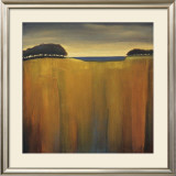 Buy Cottonwoods at AllPosters.com