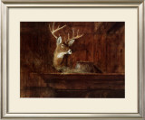 Buy Eleven Pointer, 1985 at AllPosters.com