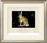 Buy Hare at AllPosters.com