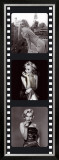 Film Reel III