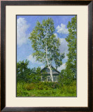 Birch Tree Near Dwelling Framed Art Print