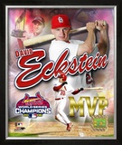 David Eckstein
